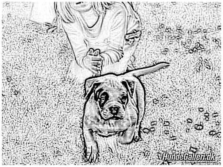 Tegninger :-) - Forstår godt du savner den lille trold - han ser godt nok lækker ud :-)
Klunte billede 96