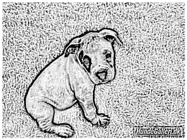 Tegninger :-) - Klunte :-) billede 97