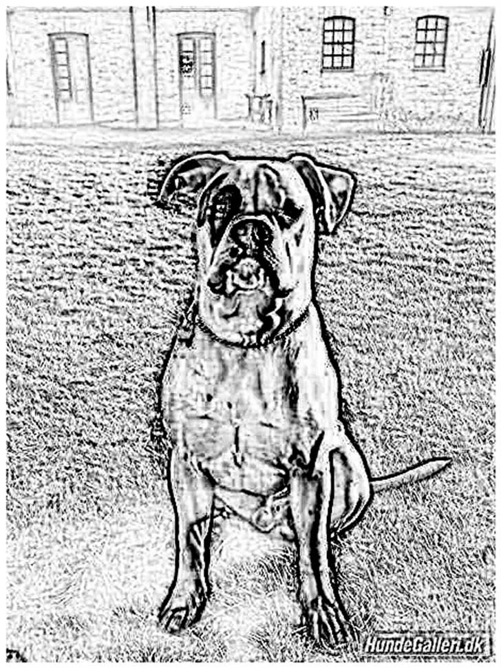 Tegninger :-) - Klunte :-) billede 98