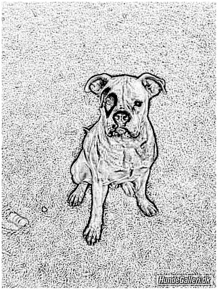 Tegninger :-) - Klunte :-) billede 99