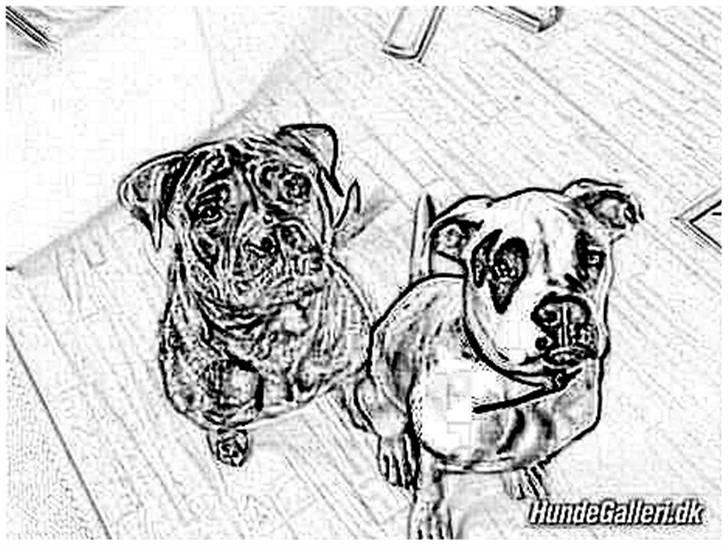 Tegninger :-) - Klunte og Dixie :-) billede 101