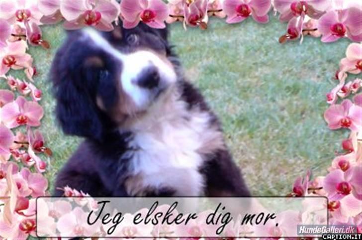 Tegninger og billeder søde mennesker har lavet til os :) billede 2