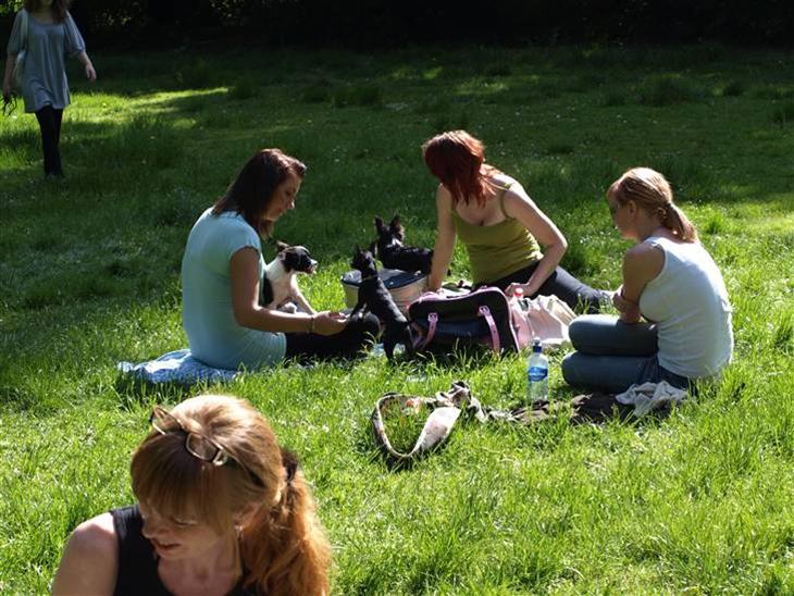 {{currentPhoto.altText}} billede {{currentPhoto.number}}