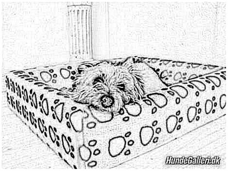 Tegninger :-) - Mille :-) billede 104