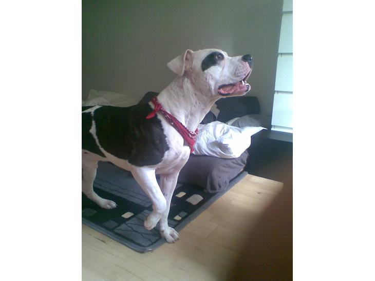 {{currentPhoto.altText}} billede {{currentPhoto.number}}