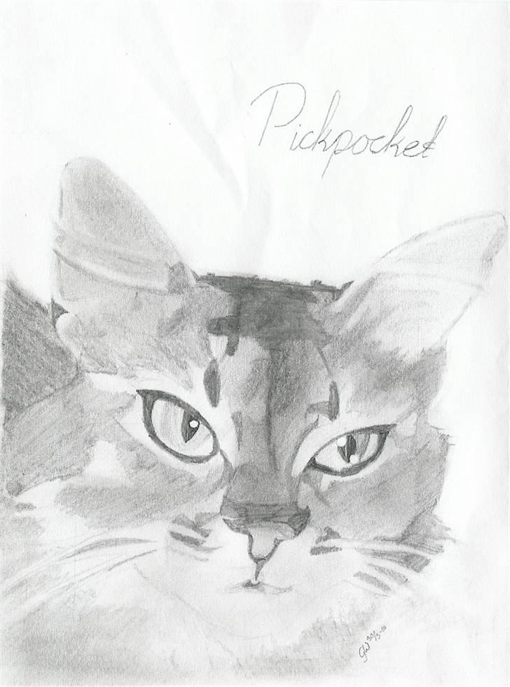 Blyantstegninger - Tegning af kattehoved
Scannet billede 7