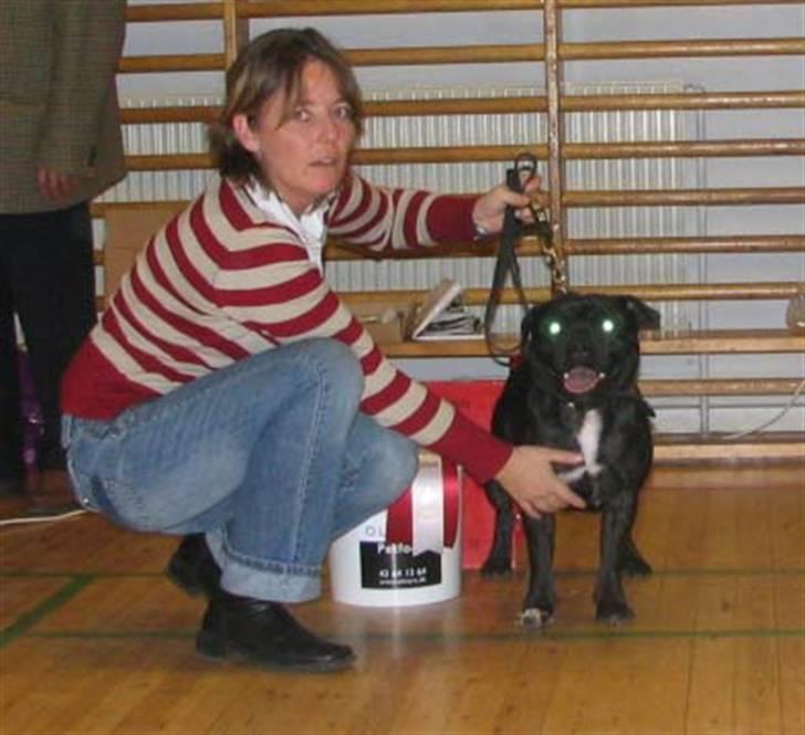 Devil og Nasty - Nasty BIS Unghund Juleskue Helsingør billede 51