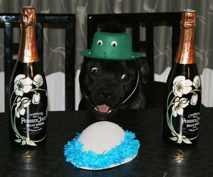 Devil og Nasty - Happy New Year 2007 fra Nasty billede 33