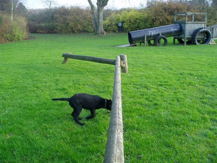 Armani andre billeder af ham <'3 - Jaja jeg skal jo føsrt lige lære at det er over man skal !! billede 1