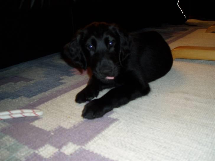 Armani andre billeder af ham <'3 billede 3