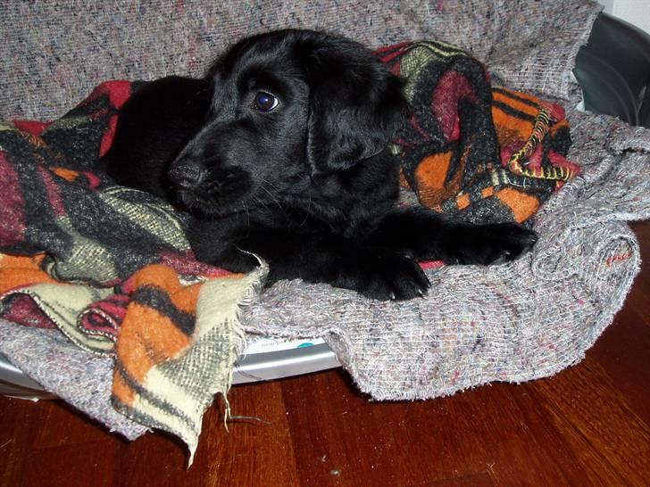 Armani andre billeder af ham <'3 billede 4