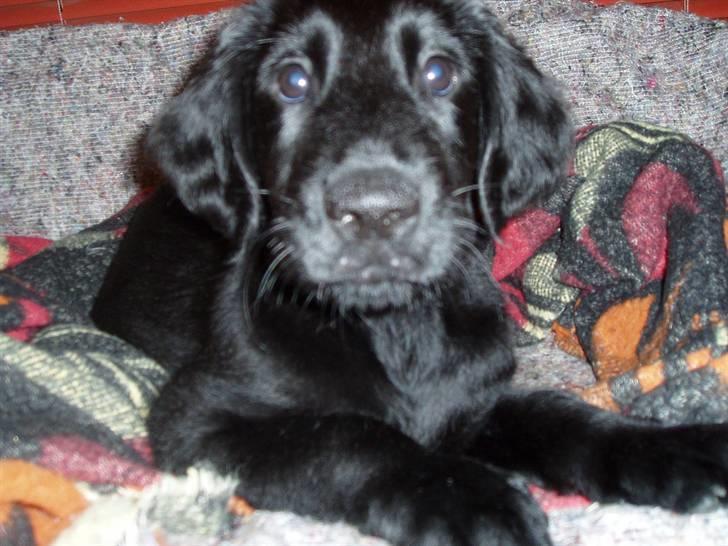 Armani andre billeder af ham <'3 billede 5