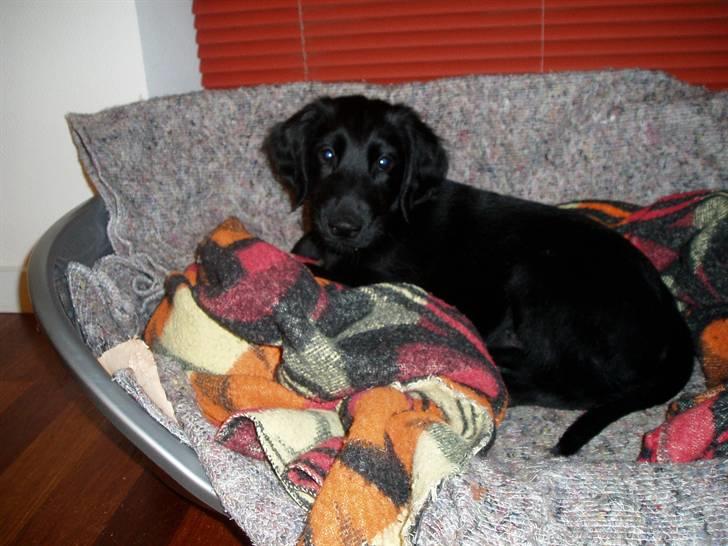 Armani andre billeder af ham <'3 billede 6