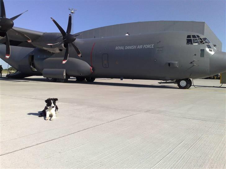 Salsa på flyvetur med Hercules fly... - Salsa foran Hercules før start... billede 3