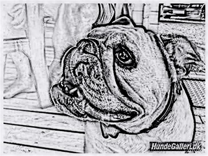 Tegninger :-) - Cecil :-) billede 107