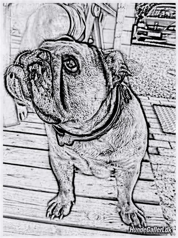 Tegninger :-) - Cecil :-) billede 108