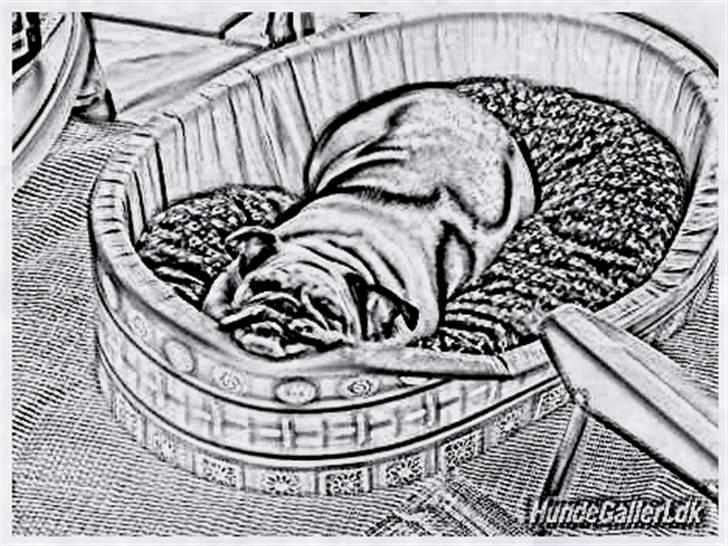 Tegninger :-) - Cecil - to cute :-D
 billede 109