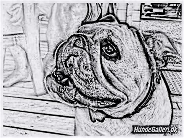 Tegninger :-) - Cecil billede 110