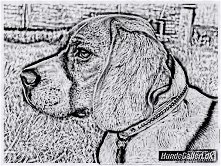 Tegninger :-) - Freja-piin :-) billede 111