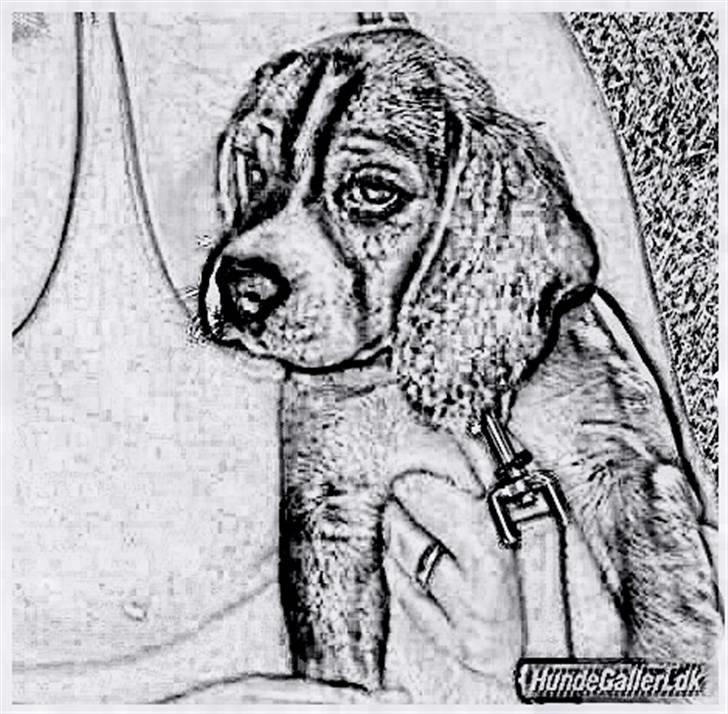 Tegninger :-) - Freja :-) billede 113