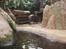 Aalborg Zoo med hundene