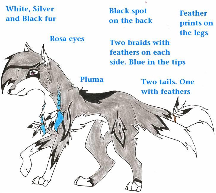 Mine Ulve - Min main character Pluma (Fjer på spansk). Hun var en af mine første Original Characters. Lavede hende på en ferie for to-tre år siden (Kan ikke huske XD). Hun har en yngre søster ved navn Koori, og en ældre bror ved navn Lune. billede 3