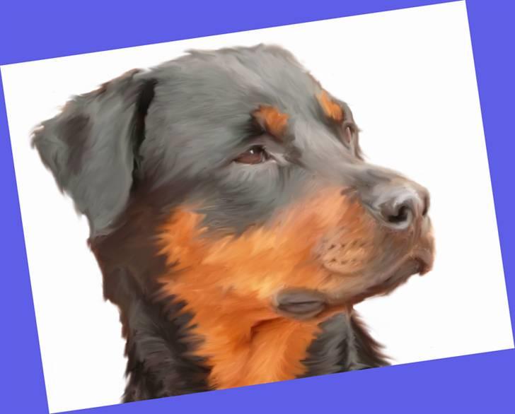 Tegninger af andres hunde - Blanding af racer Rikke. billede 1