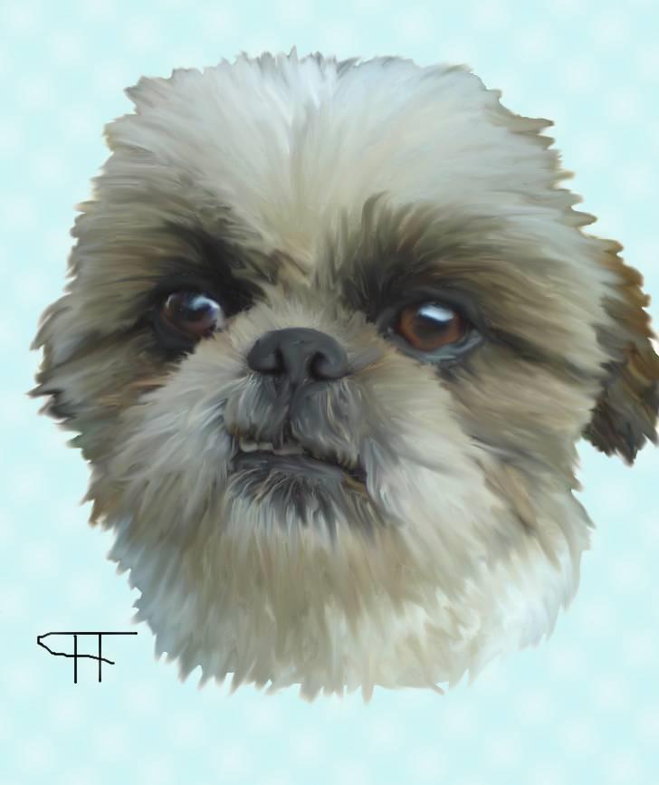 Tegninger af andres hunde - Blanding af racer Topper billede 18