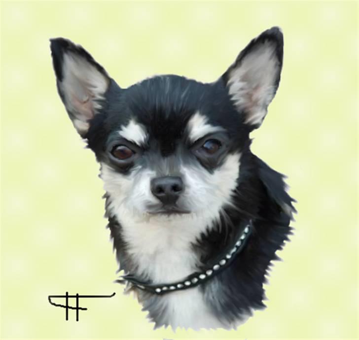 Tegninger af andres hunde - Chihuahua charlie. billede 19