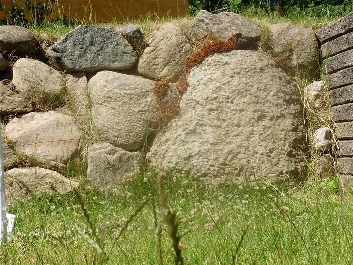 Flote natur billeder  billede 8