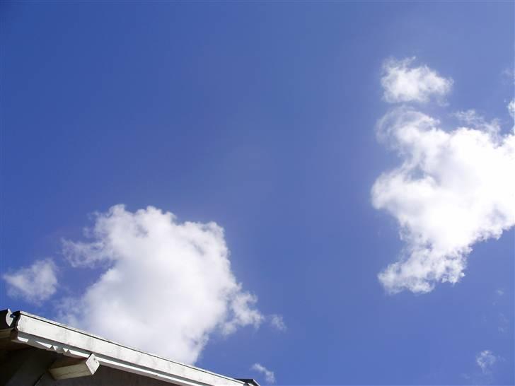 Flote natur billeder  billede 11