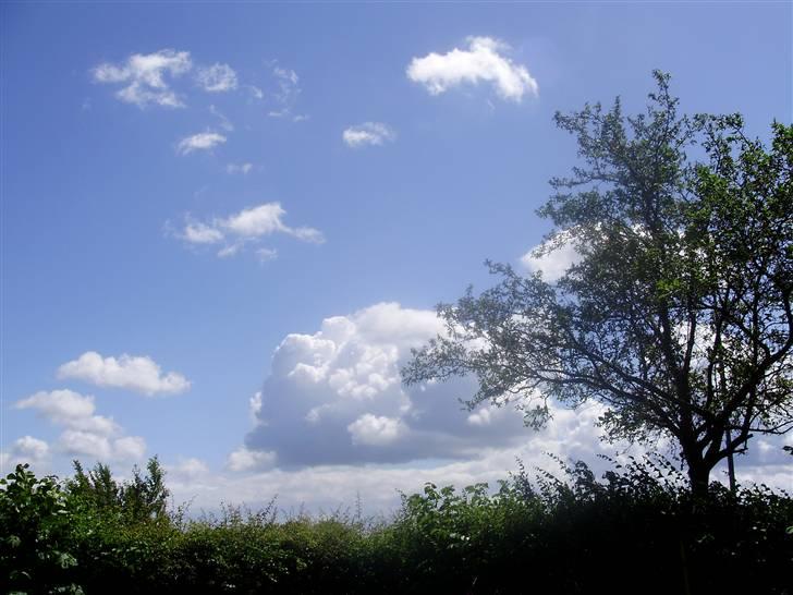 Flote natur billeder  billede 12