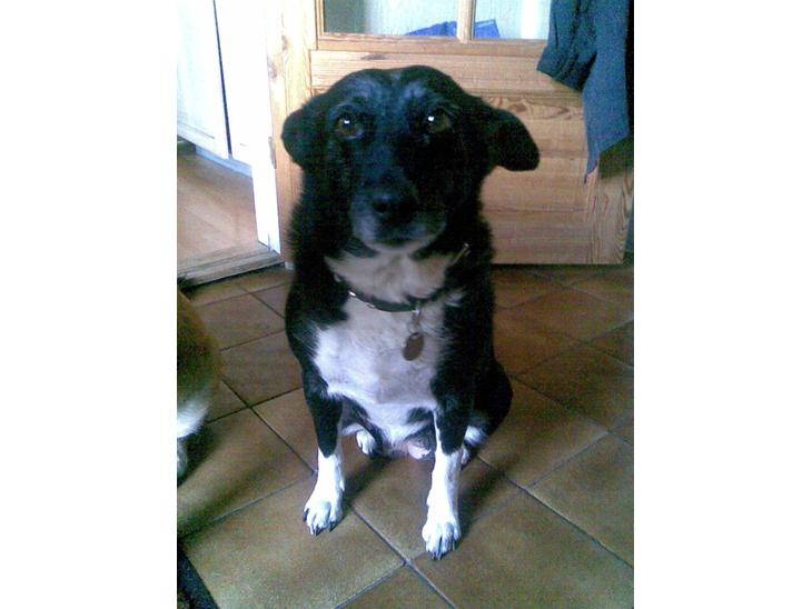 {{currentPhoto.altText}} billede {{currentPhoto.number}}