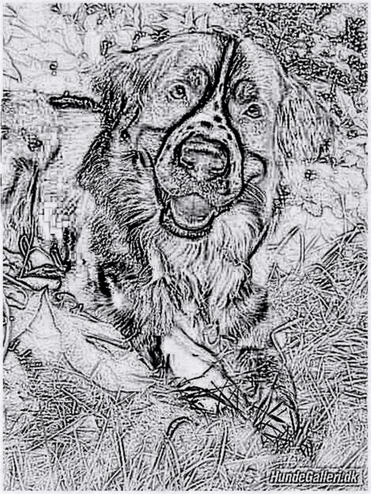 Tegninger :-) billede 116