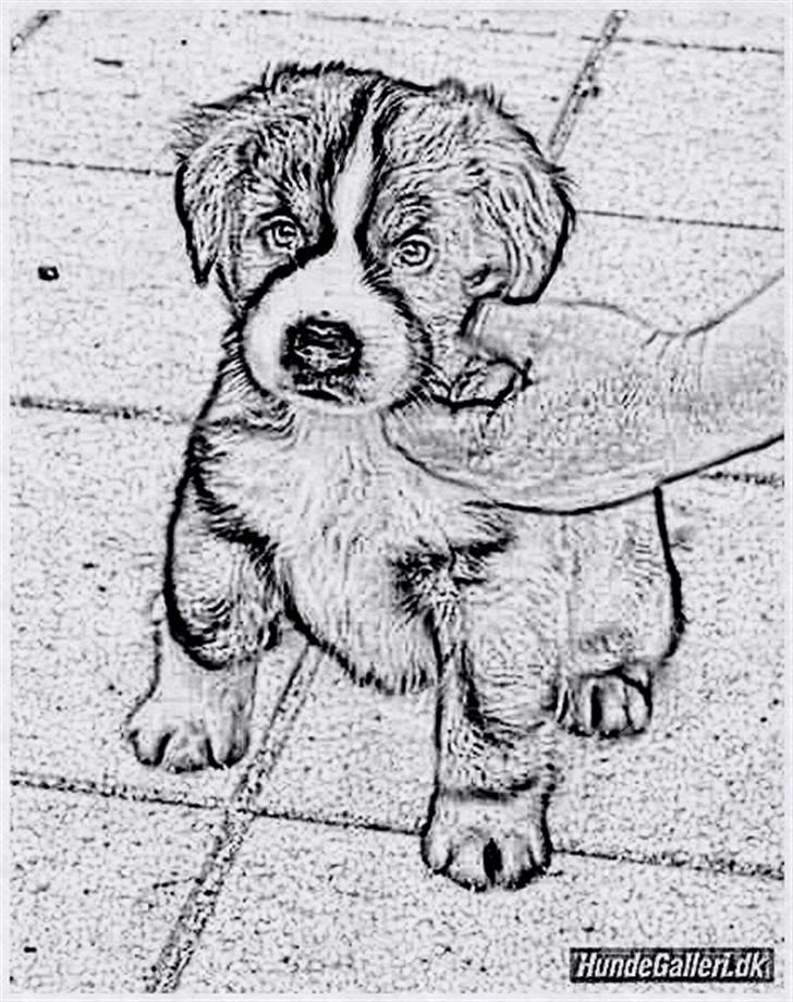 Tegninger :-) billede 118