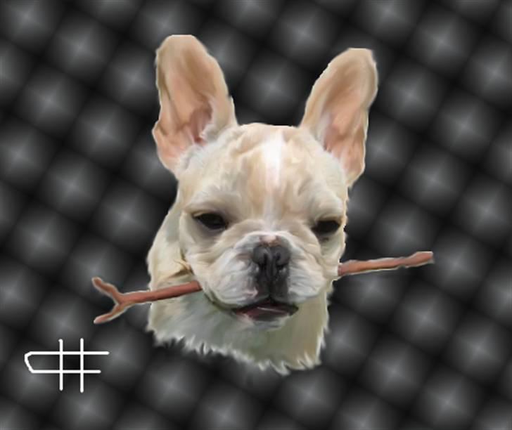 Tegninger af andres hunde - Fransk bulldog Felix. billede 33