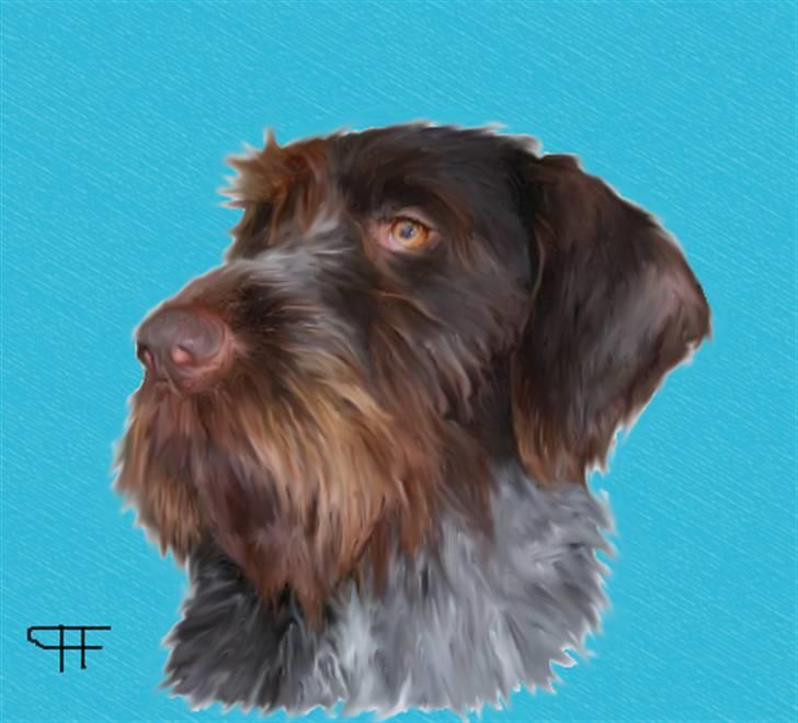 Tegninger af andres hunde - Blanding af racer Jack. billede 35