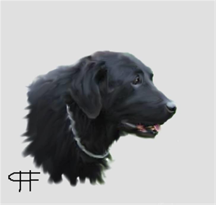 Tegninger af andres hunde - Blanding af racer Tyson . billede 36