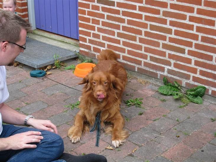 {{currentPhoto.altText}} billede {{currentPhoto.number}}