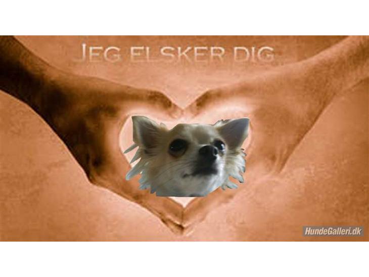 {{currentPhoto.altText}} billede {{currentPhoto.number}}