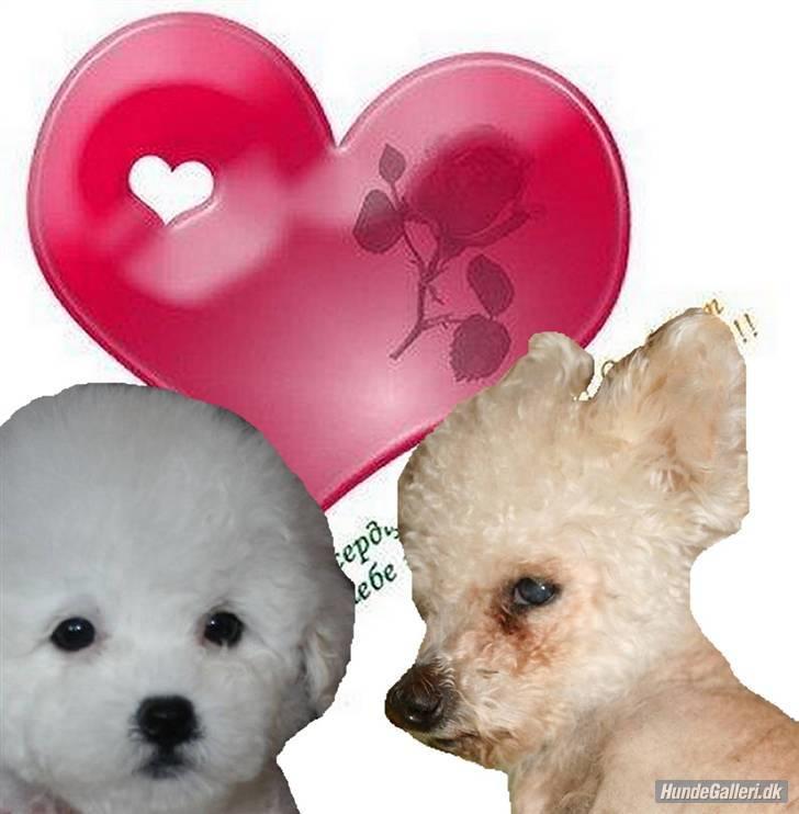 Superskønne tegninger og billeder fra andre - Fra Anja C
Tusind tak for det fine billede! billede 3