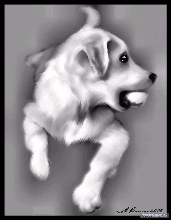 Simba-kunst <3 billede 6