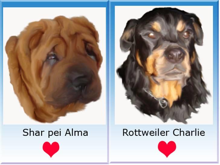 Tegninger af andres hunde - Alma og Charlie. billede 52