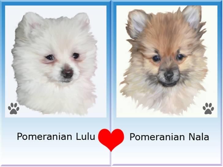 Tegninger af andres hunde - Lulu & Nala. billede 56
