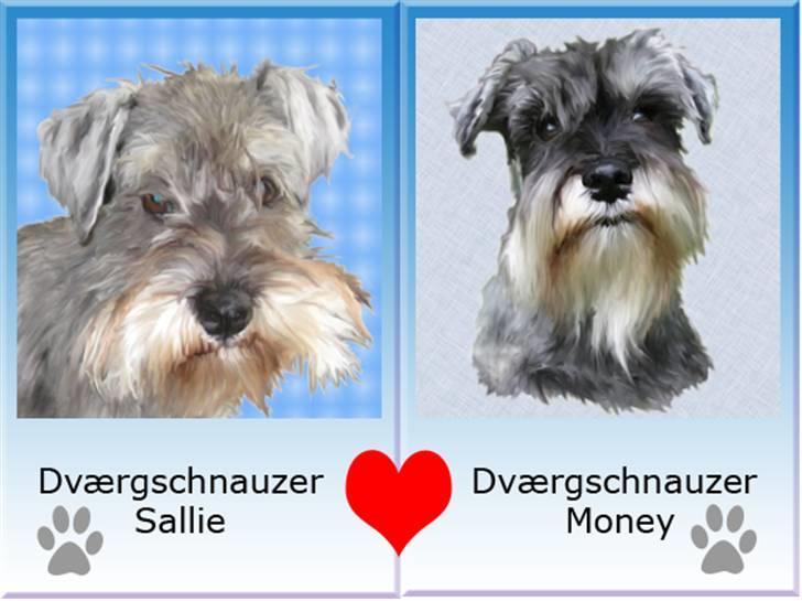 Tegninger af andres hunde - Sallie & Money. billede 57