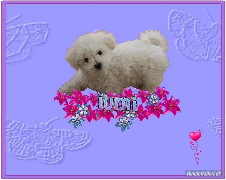 Superskønne tegninger og billeder fra andre - Fra Bailey
Det er virkelig kært - tusind tak!! billede 4