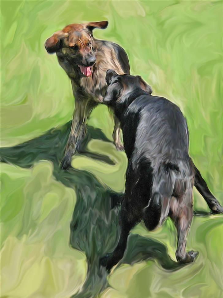 Tegninger og redigerede billeder af egne hunde billede 5