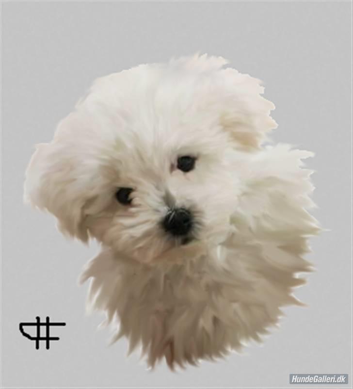 Superskønne tegninger og billeder fra andre - Fra Hans F. - kært billede!! Tak! billede 5