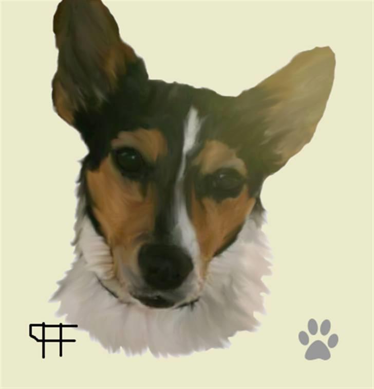 Tegninger af andres hunde - Jack russell terrier Tara. billede 67