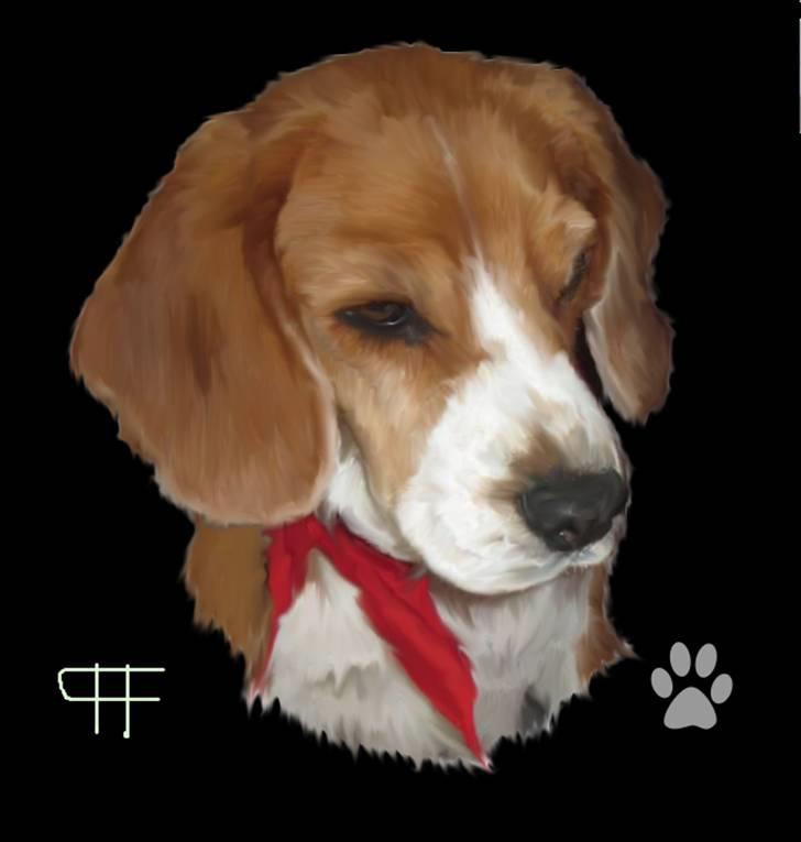 Tegninger af andres hunde - Beagle Nana. billede 69